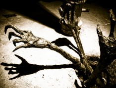 zombiesAteMyCity zombiesAteMyCity