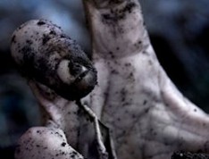 zombies zombies