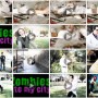 videoMontageSmall