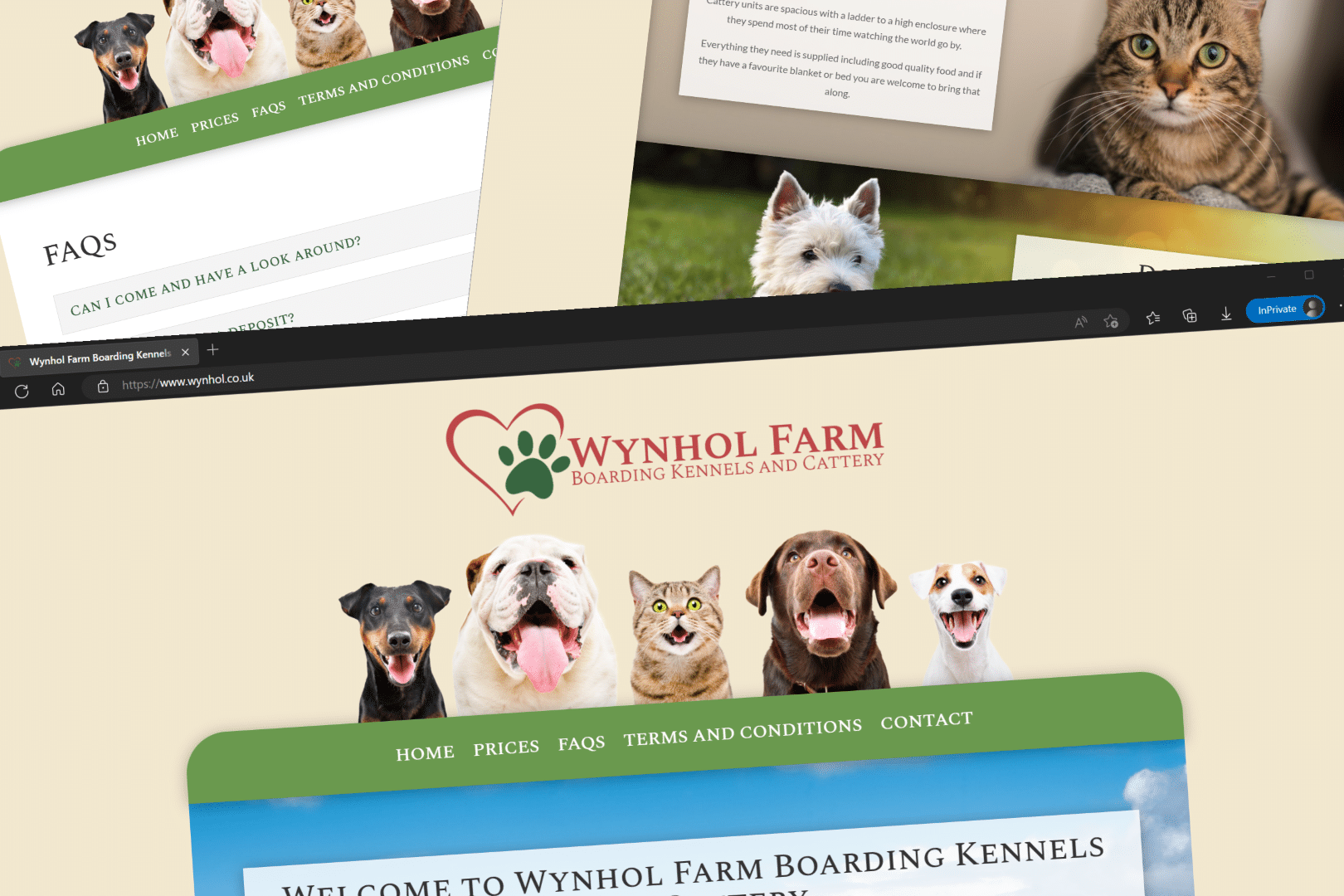 Wynhol Farm Boarding Kennels and Cattery site Chaos Created